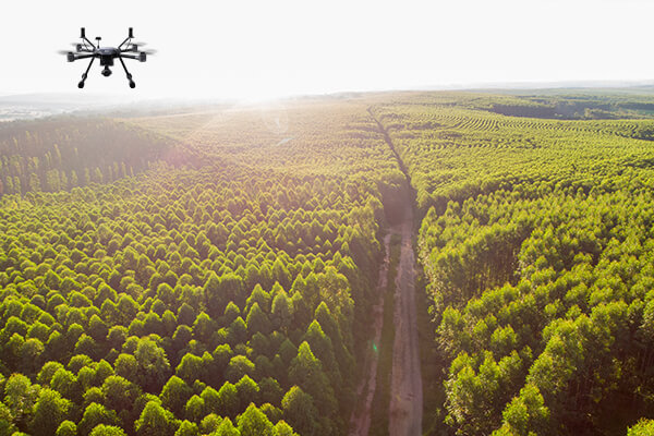 drone helps afforestation seeding technology