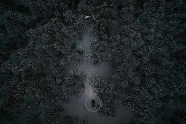 drone searching in the forest